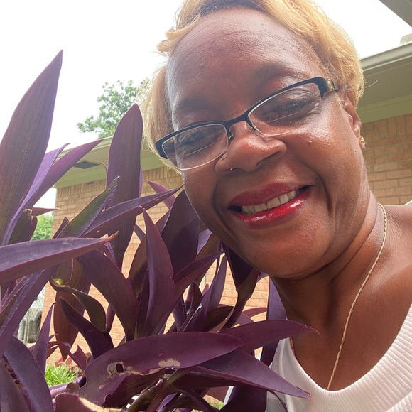 Meet your Posher, Mauseleate - Picture 1 of 1